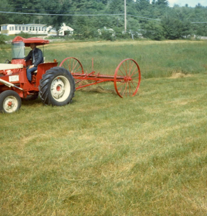 raking the hay