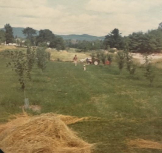 haying in 1972