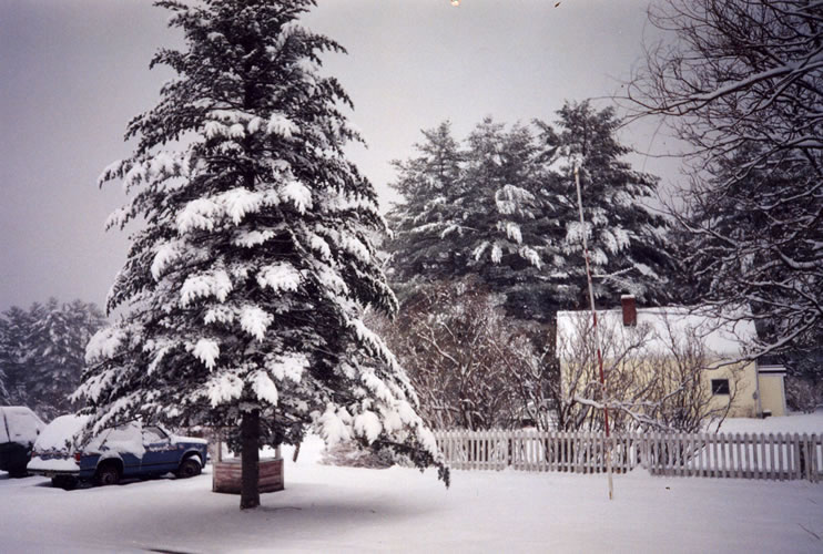 Winter 1985