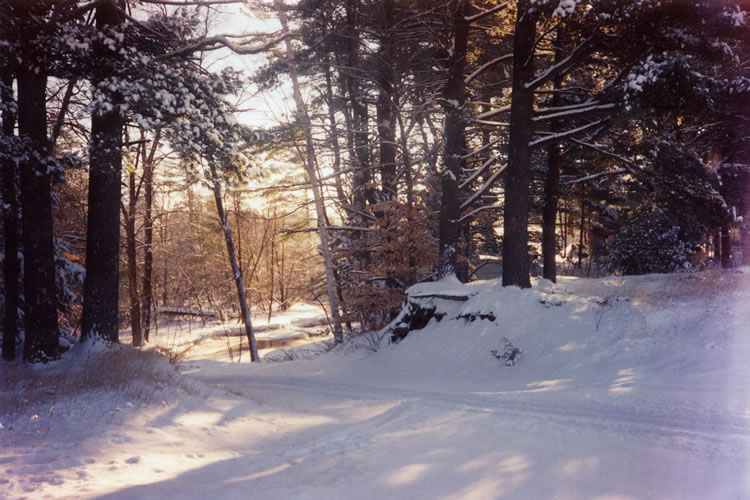 Winter 1980s