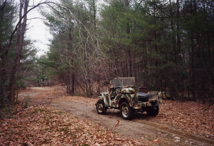 CJ2A in the woods