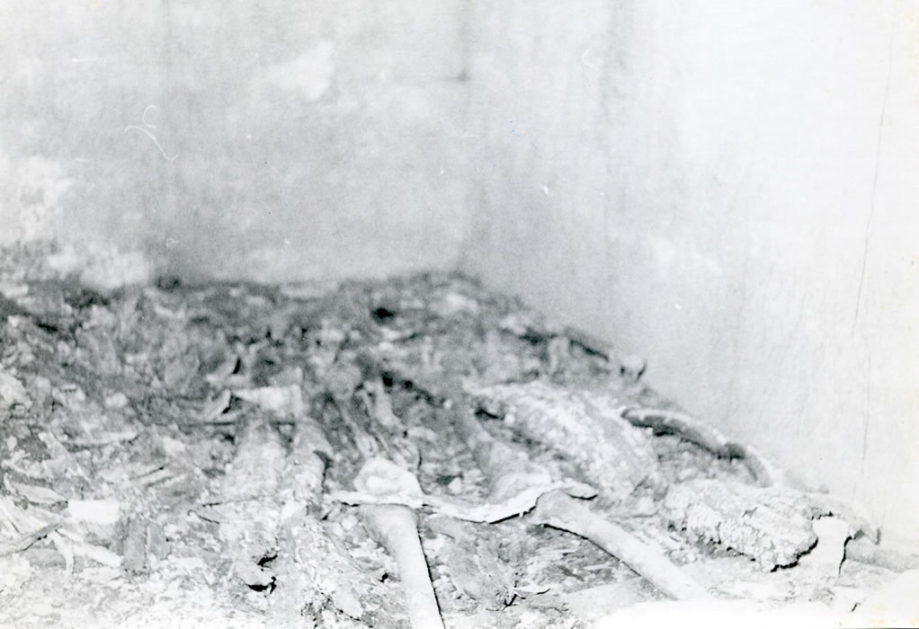 open tomb with bones