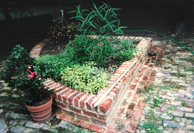 raised bed with herb garden
