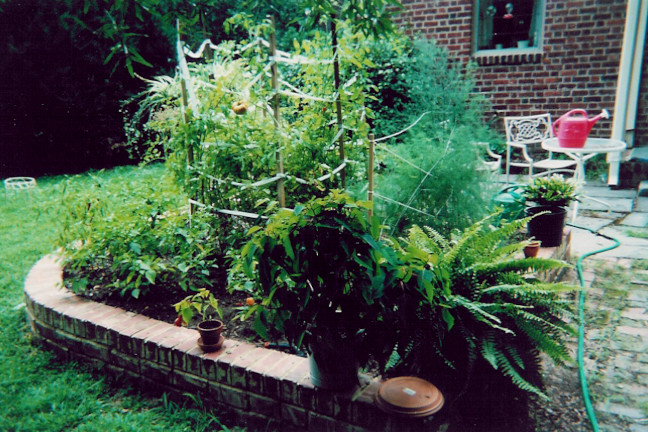 raised bed with vegetables